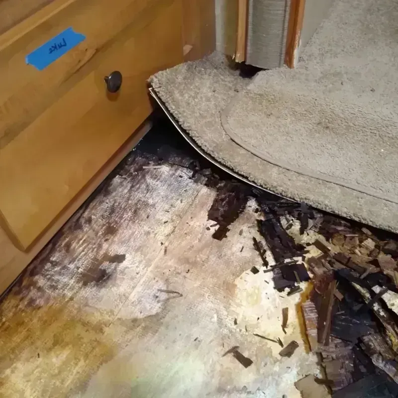 Best Wood Floor Water Damage Service in Cocke County, TN